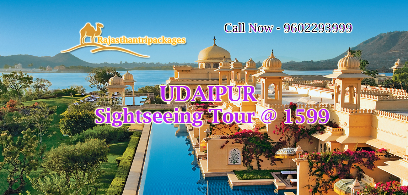 rajasthan tour service